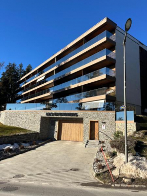 Renovated Mountain View Apartment - Les Eperviers